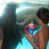 Jessie Spence Photo 25