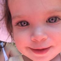 Robert Fitzgerald Photo 45 Robert Fitzgerald Photo 45