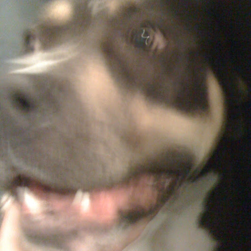 Joshua Cheek Photo 10