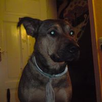 Julia Galey Photo 2