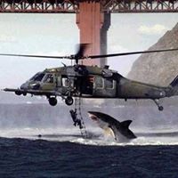 Travis Duke Photo 30