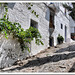 Robert Carrero Photo 19