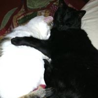 Laura Hanley Photo 12