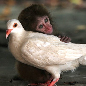 Janet Stephenson Photo 21