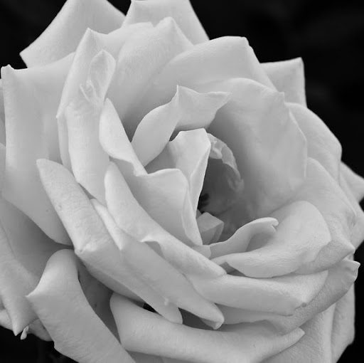 Jennifer Kirkland Photo 18