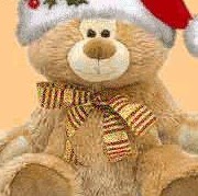 Janette Ireland Photo 9