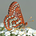 John Colon Photo 31