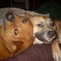 Jennifer Gallegos Photo 13