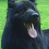 Sandra Parson Photo 7