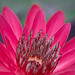 Rebecca Hughes Photo 14
