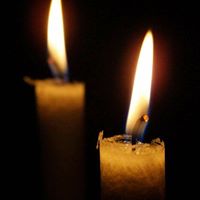 Curtis Wolf Photo 26