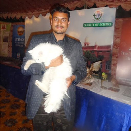 Mian Zia Photo 6