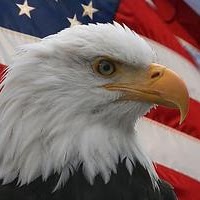 Sean O'Brien Photo 20