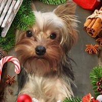 Trudi Martin Photo 8