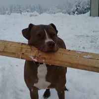 Gayle Watts Photo 27