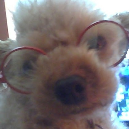 David Kerr Photo 20 David Kerr Photo 20