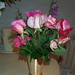 Louise Briggs Photo 21
