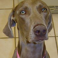 Cindy Carlson Photo 20 Cindy Carlson Photo 20