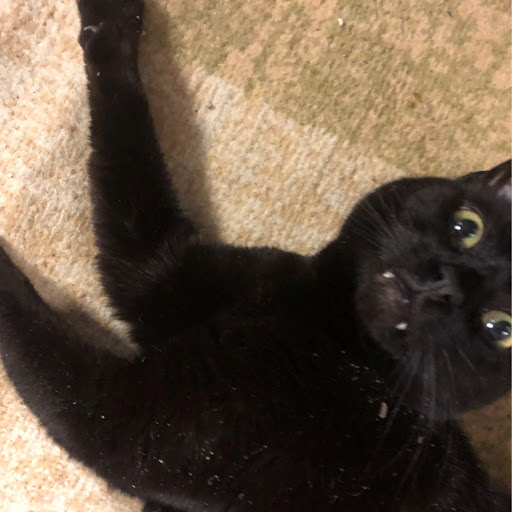 Ronald Ryan Photo 23