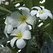 Jean Bloom Photo 22