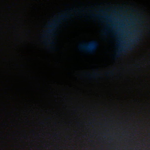 Steven Wolff Photo 14