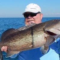 Robert Houghton Photo 25