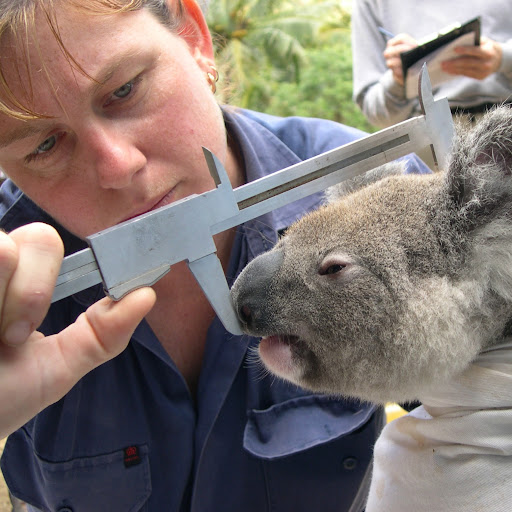 Gail Tucker Photo 19