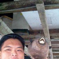 Wei Pang Photo 25 Wei Pang Photo 25