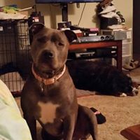 Gary Mcclendon Photo 13