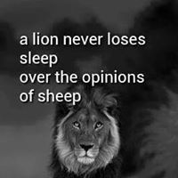 Wayne Atkinson Photo 21