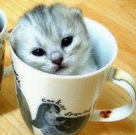 Jan Robertson Photo 16