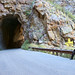 Helen Gillman Photo 7