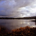 Ron Combs Photo 24