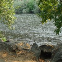 Robin Stark Photo 21 Robin Stark Photo 21