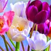 Jacqueline Kelly Photo 35