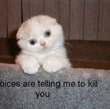 Jaime Colon Photo 36