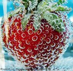 Sandra Hickey Photo 39 Sandra Hickey Photo 39