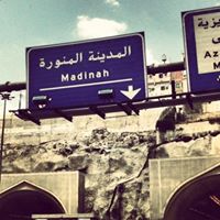 Elizabeth Shah Photo 7