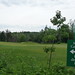 Shirley Montgomery Photo 5