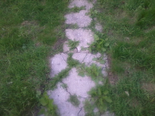 Kimberley Graham Photo 7