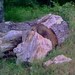 Alexander Travers Photo 18