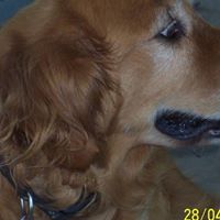 Ellen Miller Photo 27