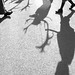 Peter Barker Photo 41