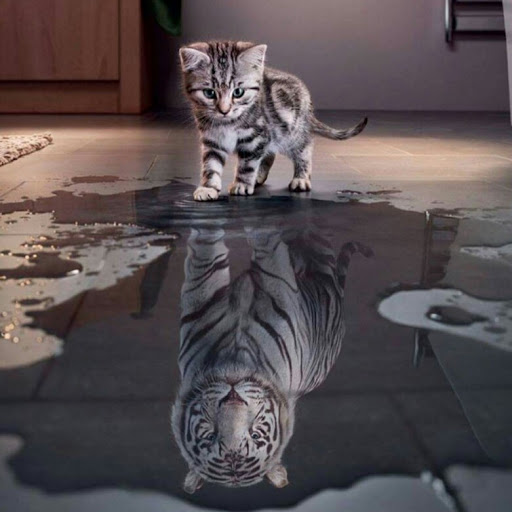 Tian Zheng Photo 27 Tian Zheng Photo 27