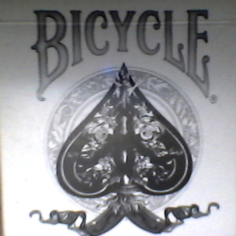 Shaun Novak Photo 12