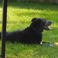 James Farrow Photo 13