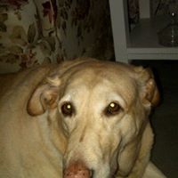 Lisa Minnich Photo 14