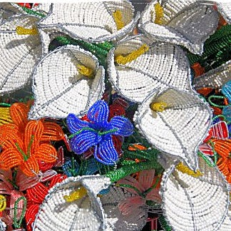 Amanda Nicholson Photo 33