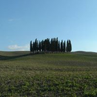 Miranda Gray Photo 16