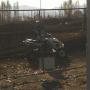 Robert Gallo Photo 12